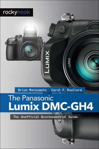 The panasonic lumix dmc - the, by