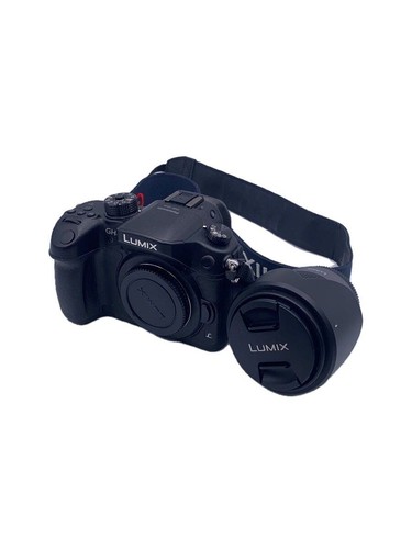 Panasonic mirrorless digital